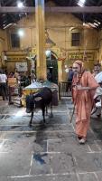 H.H. Shrimat Sadyojat Shankarashram  Swamiji's  visit to  Shri Mahabaleshwar Temple - Gokarna (21st June 2023)